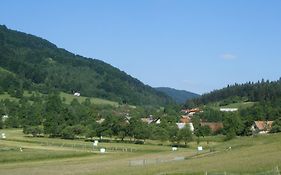 Guest House Kmetija