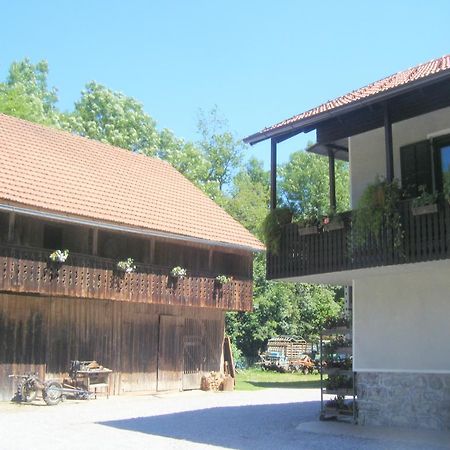 Guest House Kmetija Dane Esterno foto