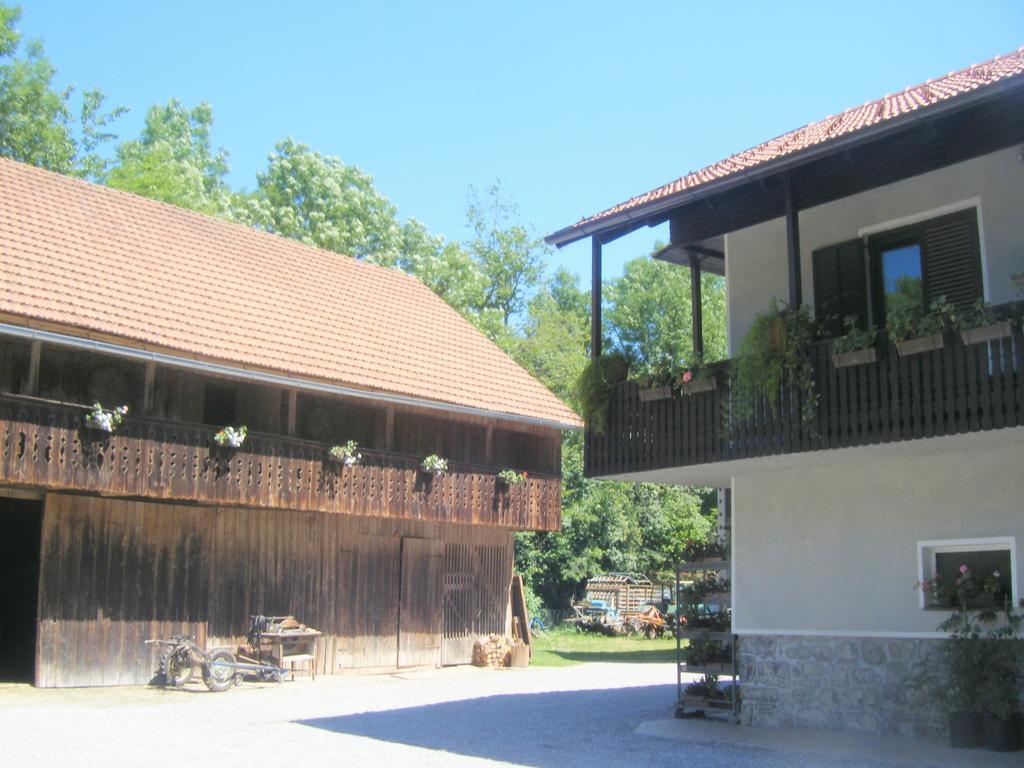 Guest House Kmetija Dane Esterno foto